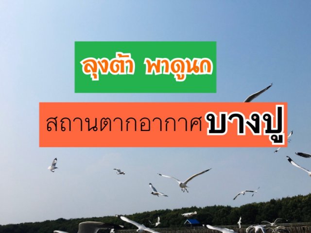 ลุงต้า พาดูนก | สถานตากอากาศ บางปู