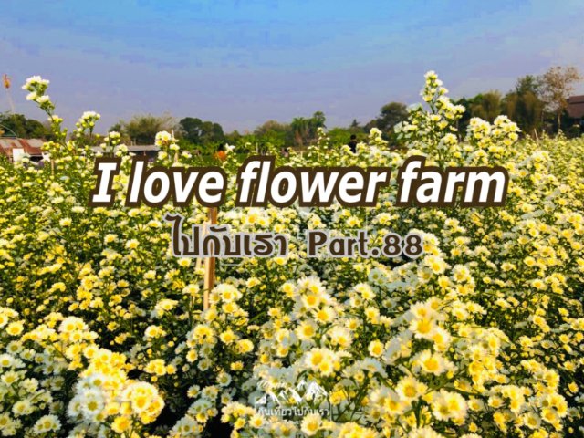 ไปกับเรา Part.88 I love flower farm