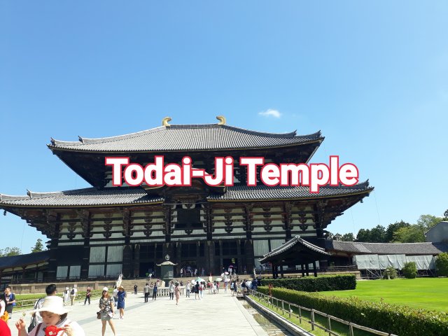 Todai-ji Temple พระใหญ่สุดในญี่ปุ่น