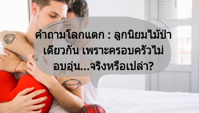 คำถามโลกแตก : ลูกนิยมไม้ป่าเดียวกัน เพราะครอบครัวไม่อบอุ่น...จริงหรือเปล่า?