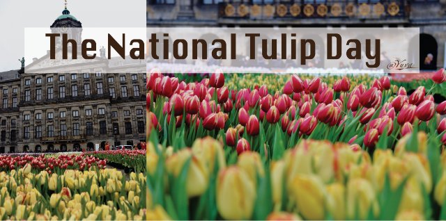 The National Tulip Day