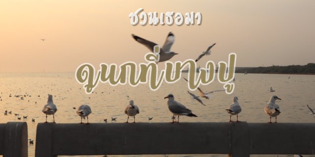 One day trip ชวนเธอมา "ดูนกที่บางปู"