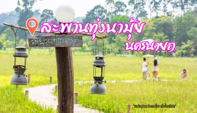 สะพานทุ่งนามุ้ย นครนายก สะพานไม้กลางทุ่งนาสวยๆ