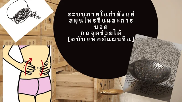 ระบบภายในกำลังแย่ ลองนวดกดจุด[ฉบับแพทย์แผนจีน]