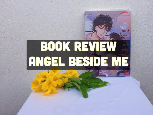 Moon ชวนมาอ่าน : Angel Beside Me รัก (หล่น) จากฟากฟ้า