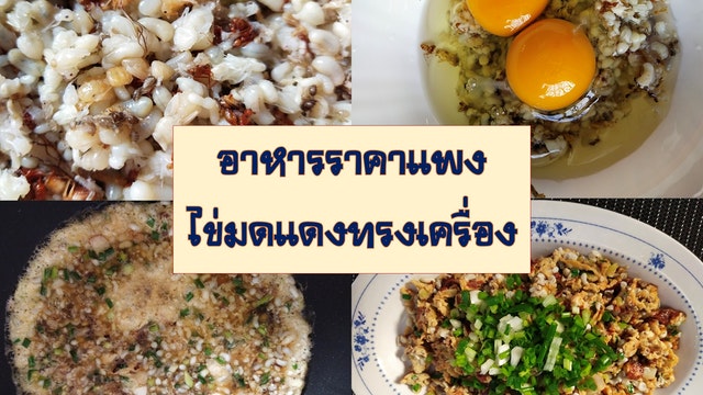 อาหารราคาแพง ไข่มดแดงทรงเครื่อง