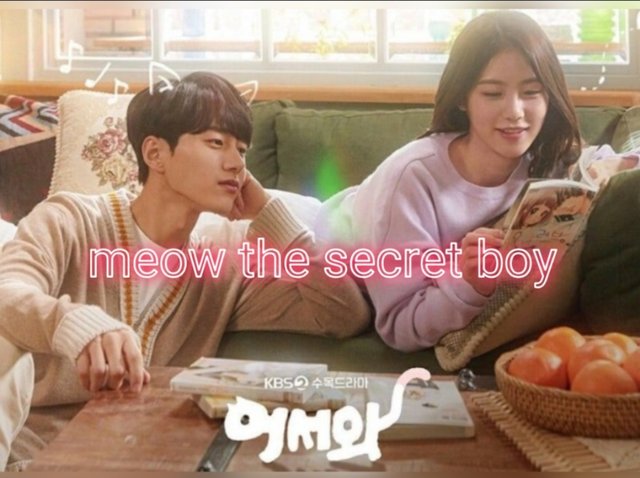 แนะนำซีรี่ส์สำหรับทาสแมว meow the secret boy ~