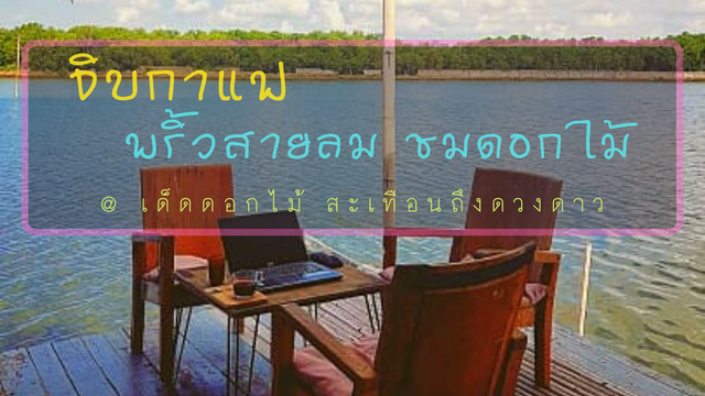 จิบกาแฟ พริ้วสายลม ชมดอกไม้