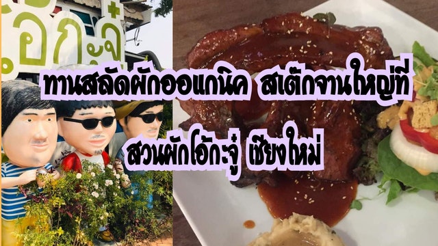 ทานสลัดผักออแกนิค สเต๊กจานใหญ่ที่สวนผักโอ้กะจู๋ เชียงใหม่