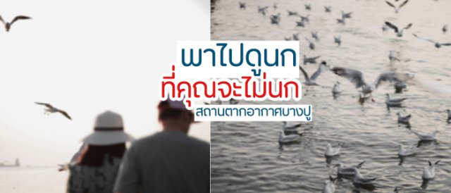 พาเที่ยวสถานตากอากาศบางปู ชวนดูนก ที่คุณจะไม่นก