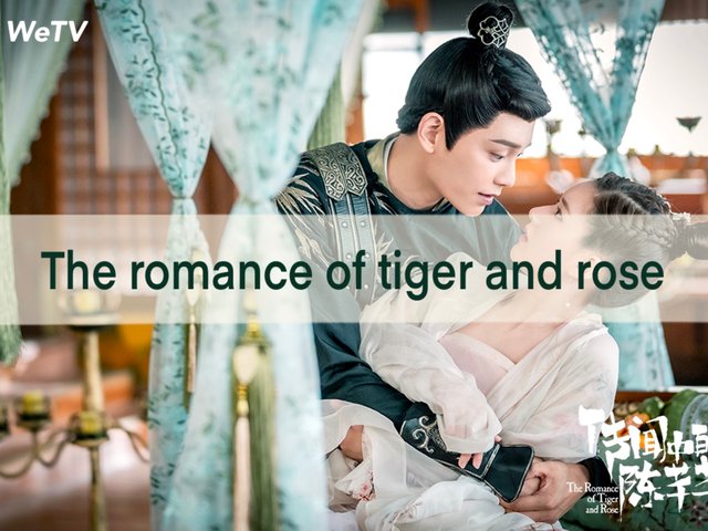 รีวิวความฟินจากซีรี่ย์จีนเรื่อง The romance of tiger and rose