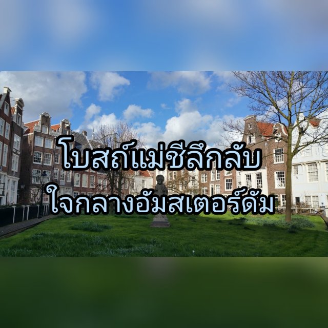 My Image 12