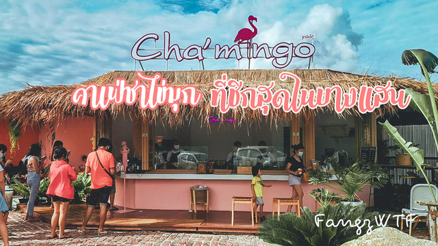 caffe mingo