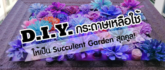 D.I.Y. กระดาษเหลือใช้ ให้เป็น Succulent Garden สุดคูล!