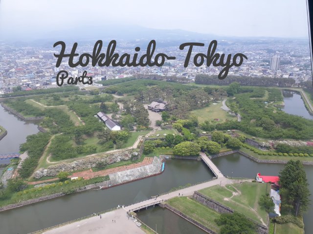 รีวิวเที่ยว Hokkaido-Tokyo ใน 8 วัน ( Part 3 )
