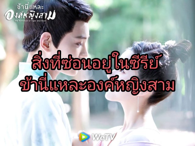 สิ่งที่ซ่อนอยู่ในซีรีย์ ข้านี่แหละองค์หญิงสาม The romance of tiger and rose