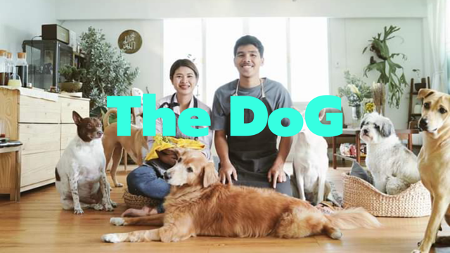 The dog!