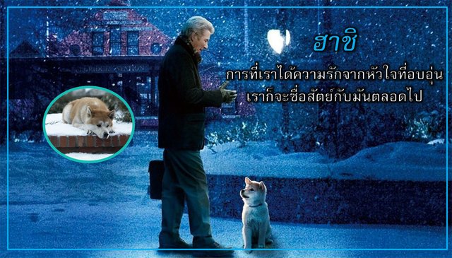 รีวิวหนัง - Hachi: A Dog’s Tale (2009) เรื่องราวของ ''ฮาชิ'' สุนัขที่ซื่อสัตย์ที่ทำให้คุณต้องร้องไห้