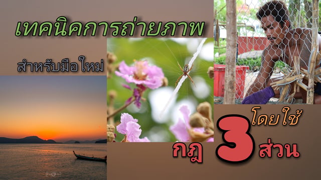 เทคนิคการถ่ายภาพสำหรับมือใหม่โดยใช้กฎ 3 ส่วน