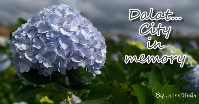 Dalat  เมืองสเน่หา ของ Vietnam