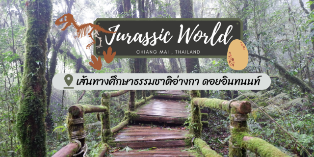 เส้นทางลึกลับอย่างกับหลุดเข้าไปในยุคจูราสสิค เพราะที่นี่คือ เส้นทางศึกษาธรรมชาติอ่างกา ดอยอินทนนท์