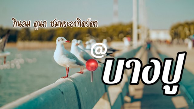 กินลม ชมนก ดูพระอาทิตย์ตก