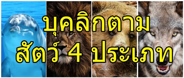 บุคลิกตาม สัตว์ 4 ประเภท