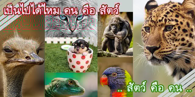 เป็นไปได้ไหม คน คือ สัตว์ .. สัตว์ คือ คน