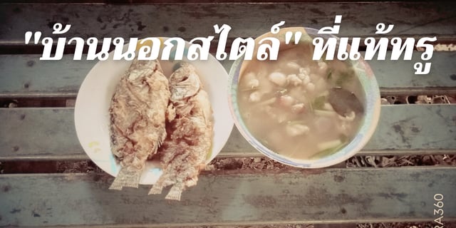 "บ้านนอกสไตล์" ที่แท้ทรู