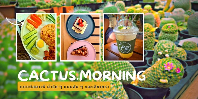 Cactus Morning แคคตัสคาเฟ่ น่ารัก ๆ แบบลับ ๆ @ฉะเชิงเทรา