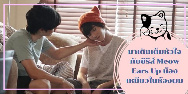 ซีรีส์วาย Meow Ears Up น้องเหมียวในห้องผม ซีรีส์ที่เติมเต็มหัวใจ