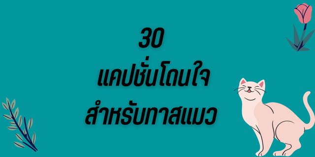 30 แคปชั่นโดนใจ สำหรับทาสแมว คนรักแมวโดน ๆ