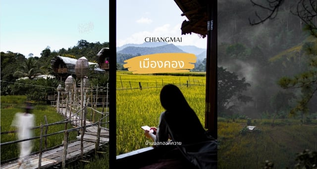 ที่พักเชียงใหม่ บ้านนอกฮอกควาย อ.เมืองคอง โฮมสเตย์กลางทุ่งนา วิวหมอก