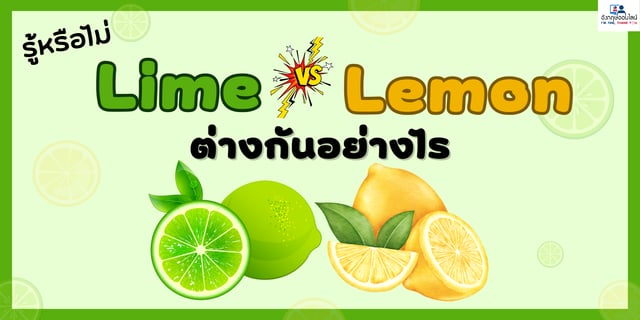 รู้หรือไม่ Lime Vs Lemon ต่างกันอย่างไร