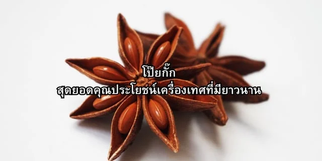 โป๊ยกั๊ก สุดยอดคุณประโยชน์เครื่องเทศอายุพันกว่าปี
