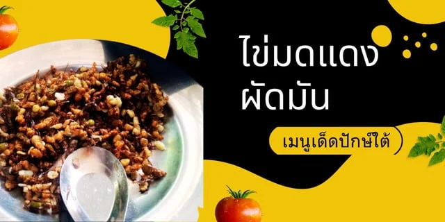 เมนูไข่มดแดงภาคใต้ ไข่มดแดงผัดมัน เมนูเด็ดปักษ์ใต้ อาหารพื้นบ้านตามฤดูกาล