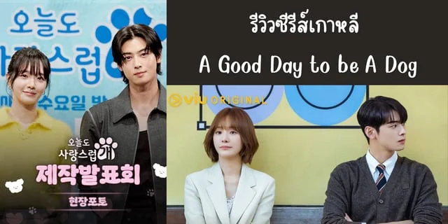 รีวิวซีรีส์เกาหลี A Good Day to be A Dog(2023) ทาง Viu
