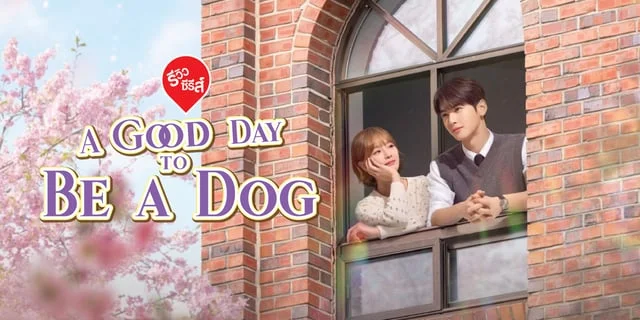 รีวิวซีรีส์ A Good Day To Be A Dog วันที่ดีของน้องหมา (2023) พัคกยูยอง&ชาอึนอู