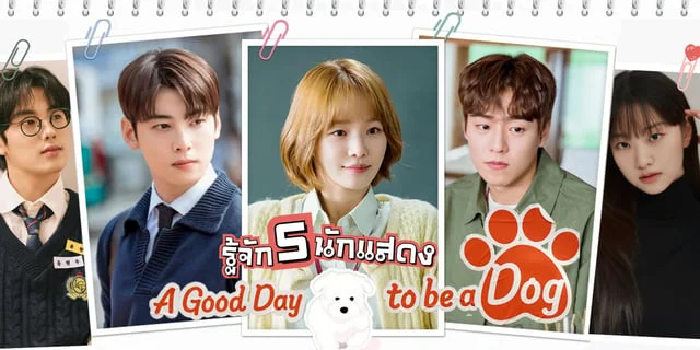รู้จัก+เปิดวาร์ป 5 นักแสดงซีรีส์ A Good Day to Be a Dog ผลงานล่าสุดของชาอึนอู มีใครบ้างไปส่องกันค่ะ