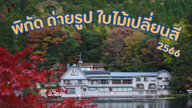 รีวิว ที่เที่ยวญี่ปุ่น ใบไม้เปลี่ยนสี 2566 "คิวชู" Yufuin ทะเลสาบคิริน