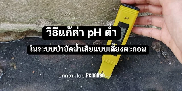 วิธีแก้ค่าพีเอช (pH) ต่ำ ในระบบบำบัดน้ำเสีย แบบเลี้ยงตะกอน