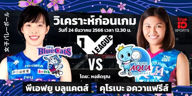 สล็อตเว็บทดลองเล่นฟรีพีเอฟยู บลูแคตส์ VS คุโรเบะ อควาแฟรีส์ น้องบีมดวล 4T วิเคราะห์วอลเลย์บอล วี.ลีก 2023/24