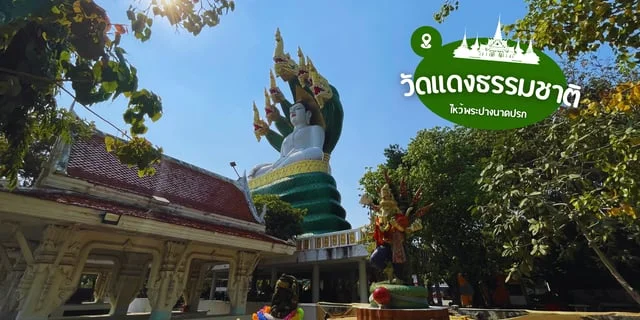 วัดแดงธรรมชาติ พระปางนาคปรกองค์ใหญ่ ริมแม่น้ำเจ้าพระยา