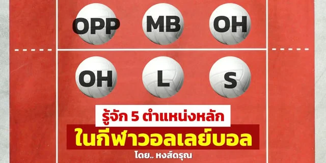 เว็บรับวอลเลท รู้จัก 5 ตำแหน่งหลักในกีฬา วอลเลย์บอล เปลี่ยนเล่นตำแหน่งไหนเหมาะกับเรา