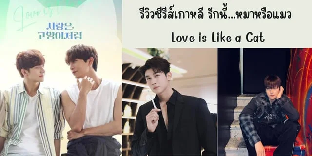 รีวิวซีรีส์เกาหลี รักนี้...หมาหรือแมว(2024) Love is Like a Cat ทาง Gagaoolala