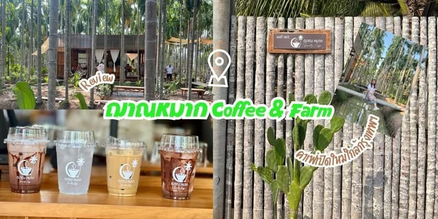 รีวิว ฌาณหมาก Coffee & Farm คาเฟ่เปิดใหม่ใกล้กรุงเทพ ฉะเชิงเทรา