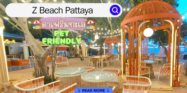 คาเฟ่สวยริมทะเล @ Z Beach Pattaya | Pet Friendly