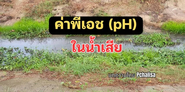 ค่าพีเอช (pH) ในน้ำเสีย คืออะไร ทำไมต้องวัด