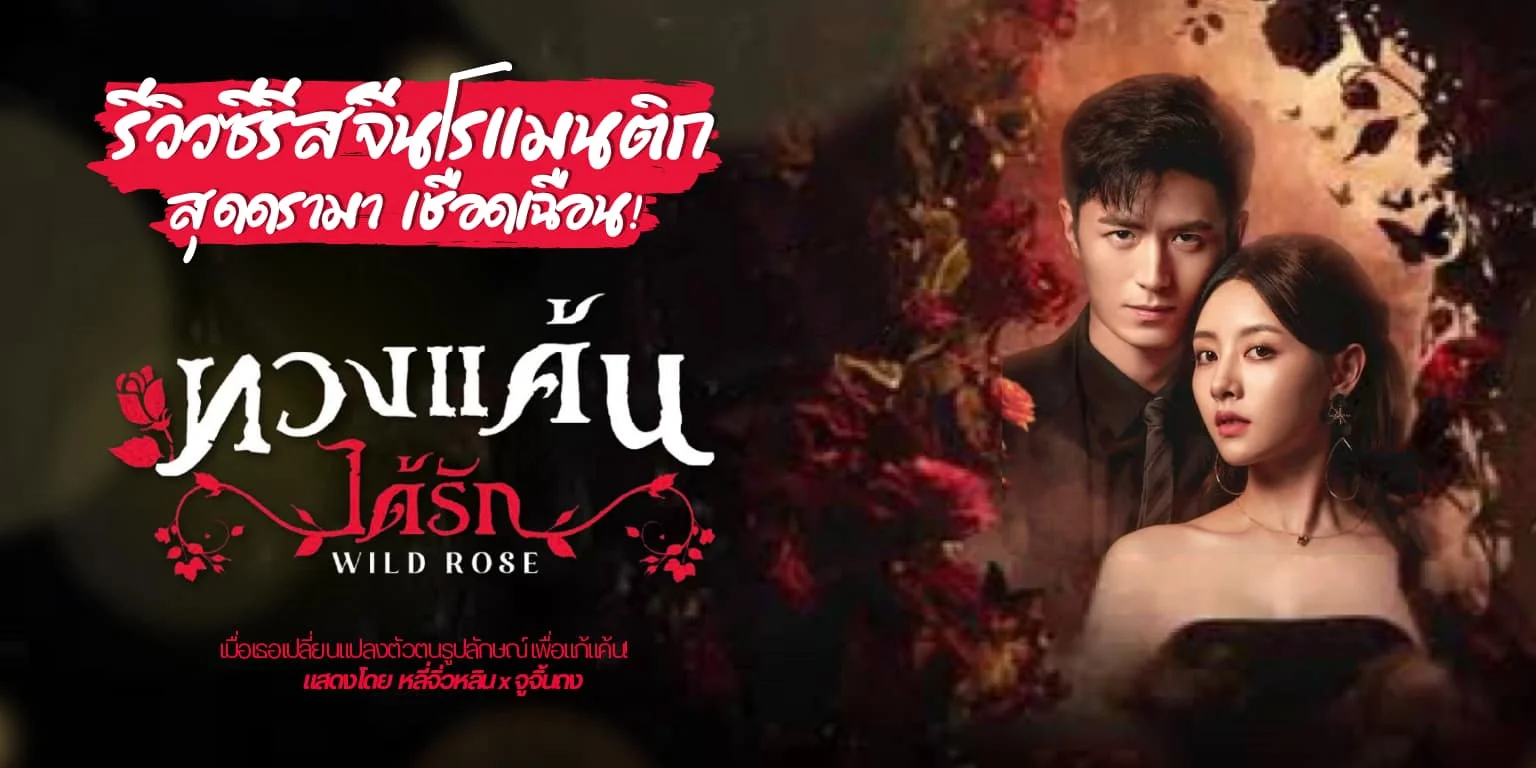 +Դ컹ѡʴ ǧѡ Wild Rose 2025 