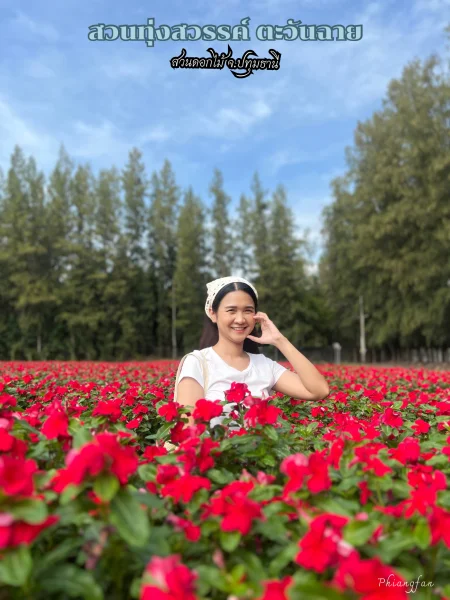 สวนดอกไม้